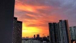 Blk 454 Clementi Avenue 3 (Clementi), HDB 4 Rooms #483583011